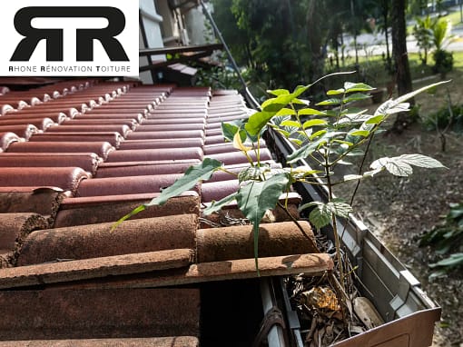 Couvreur Pusignan Couvreur Pusignan